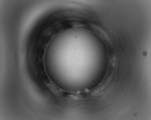 X0000101470763200807141351