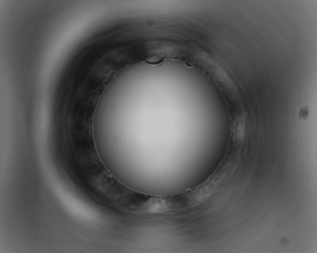 X0000101470764200807141351