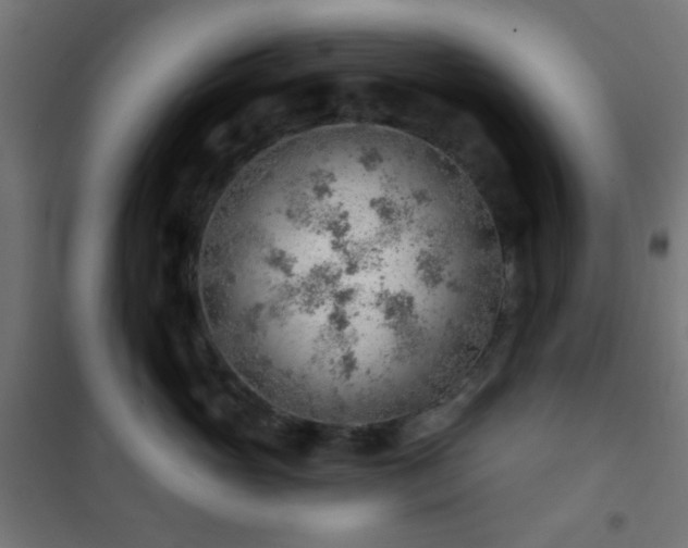 X0000101470765200807141351