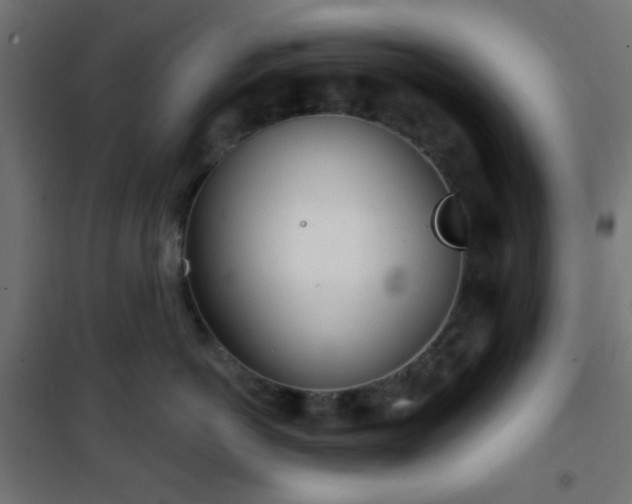 X0000101470766200807141351