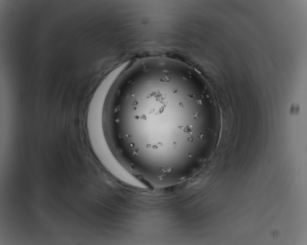 X0000101470768200807141351