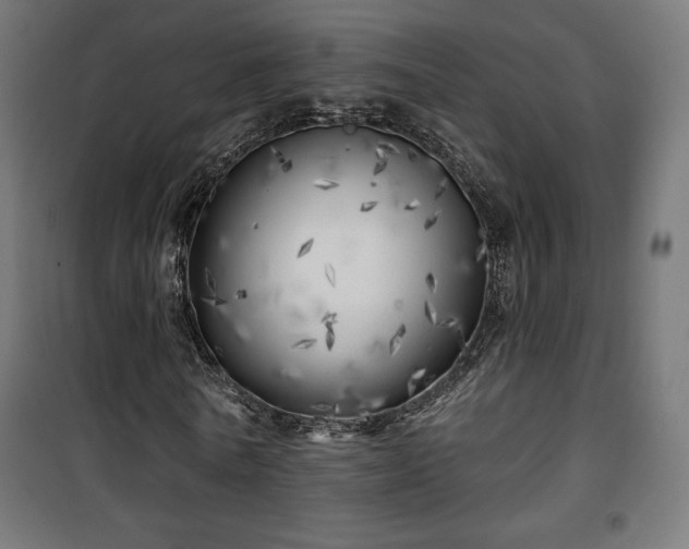 X0000101470770200807141350