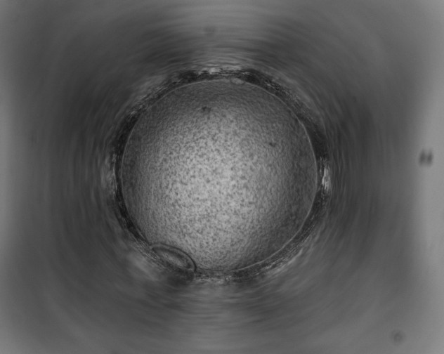 X0000101470771200807141350