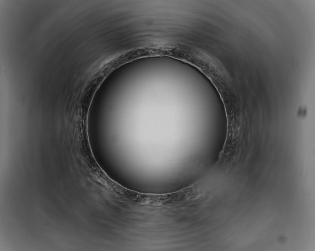 X0000101470773200807141350