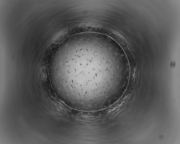 X0000101470774200807141350