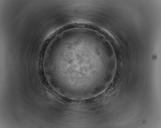 X0000101470775200807141350