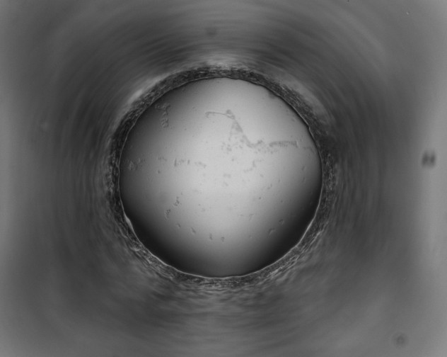 X0000101470776200807141350