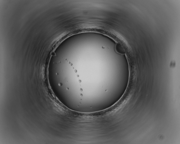 X0000101470777200807141350