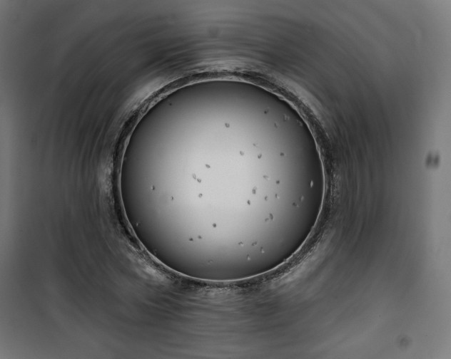 X0000101470778200807141350