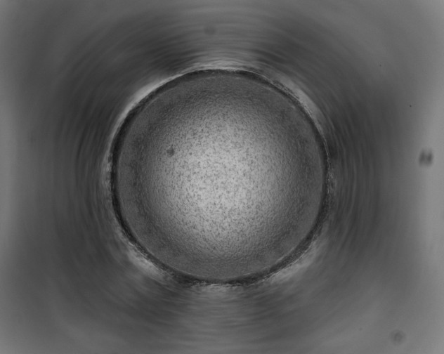 X0000101470779200807141350