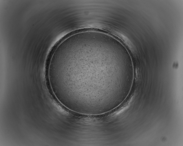 X0000101470780200807141350