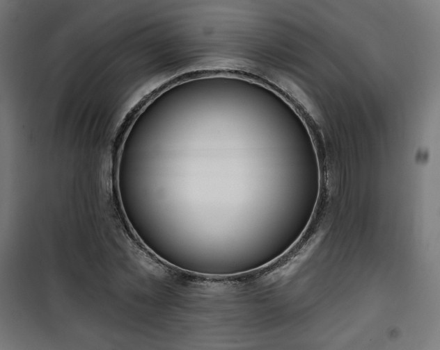 X0000101470781200807141350