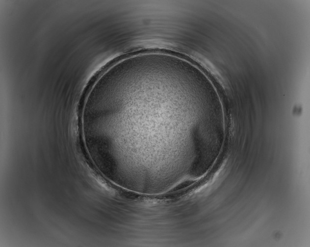 X0000101470782200807141350