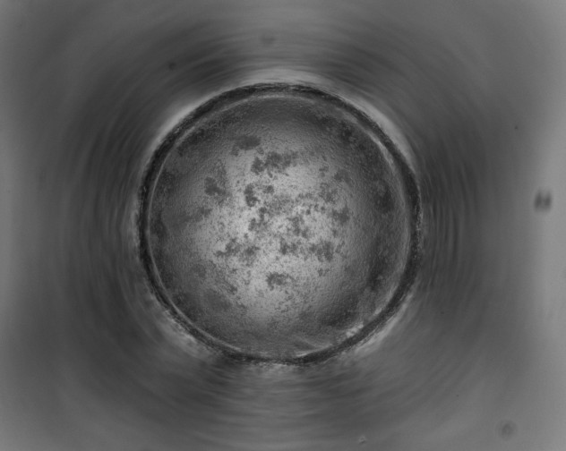 X0000101470783200807141350