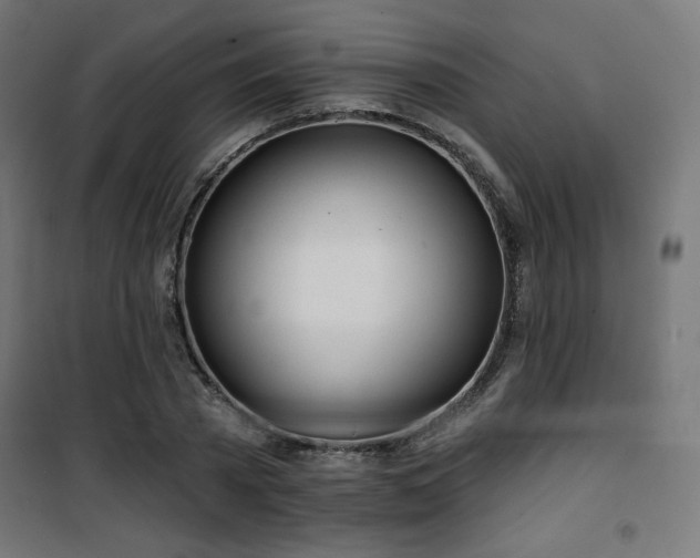 X0000101470785200807141350