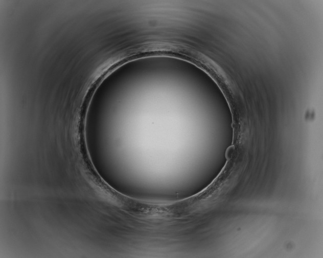 X0000101470786200807141349