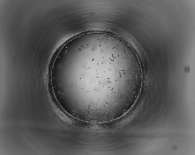 X0000101470787200807141349
