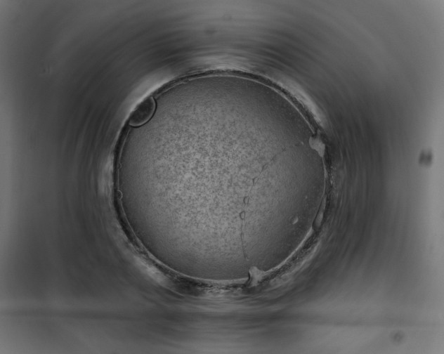 X0000101470790200807141349