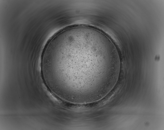 X0000101470791200807141349