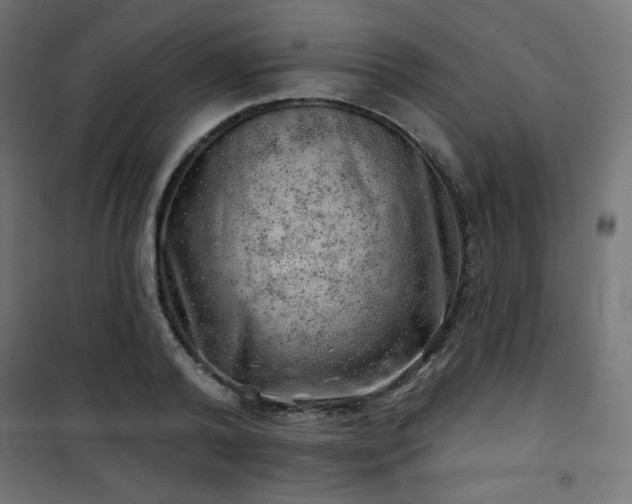 X0000101470792200807141349