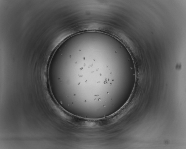 X0000101470794200807141349