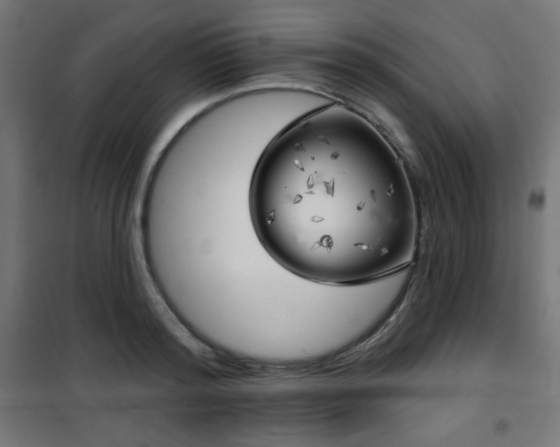 X0000101470796200807141349