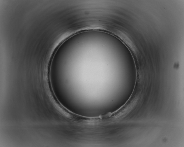 X0000101470797200807141349