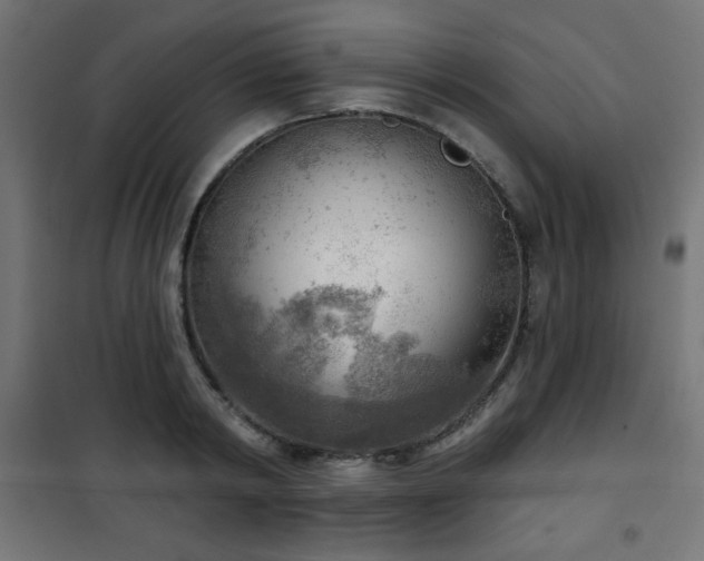 X0000101470798200807141349