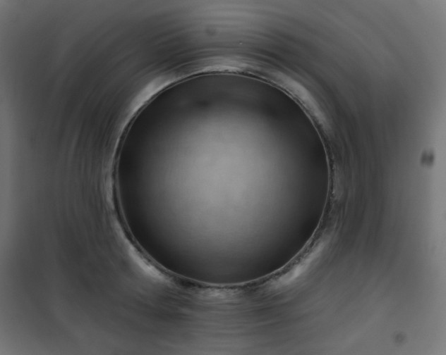 X0000101470802200807141349