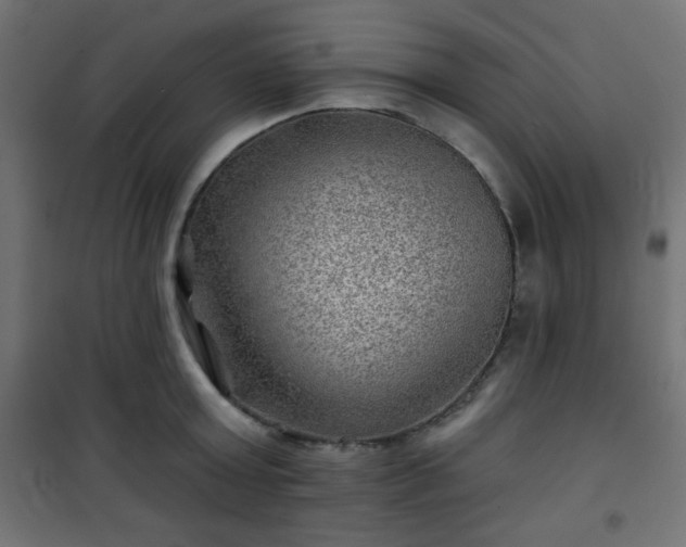 X0000101470803200807141349