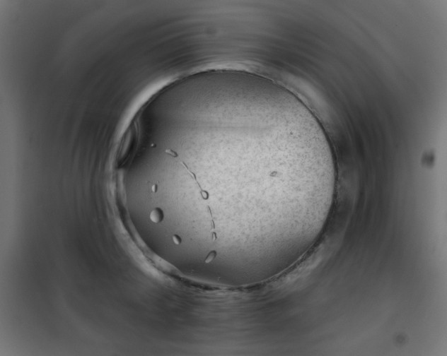 X0000101470804200807141349