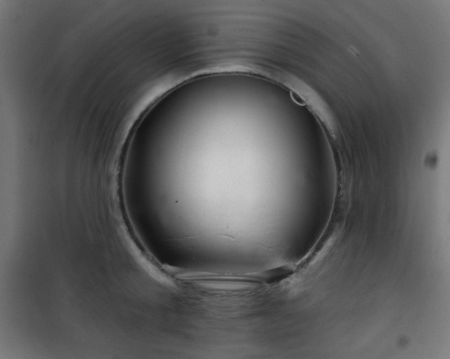 X0000101470805200807141349