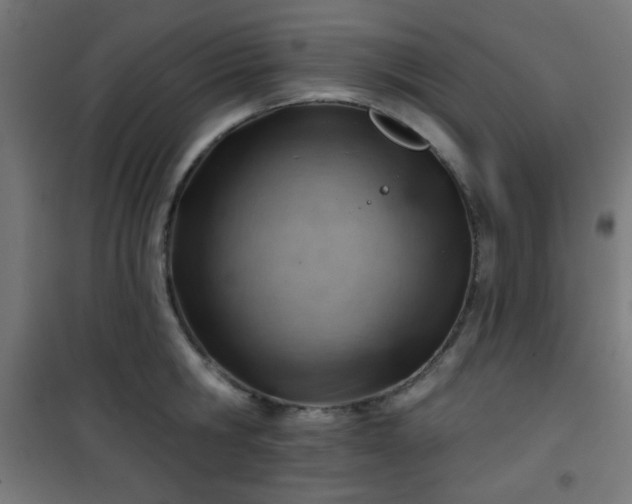 X0000101470806200807141349