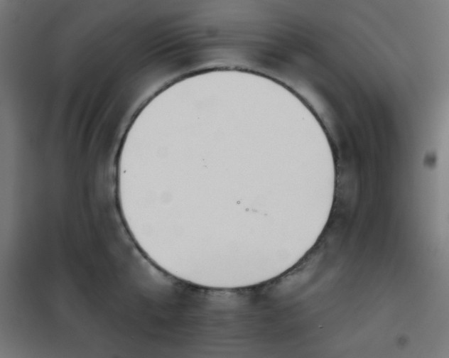 X0000101470807200807141349