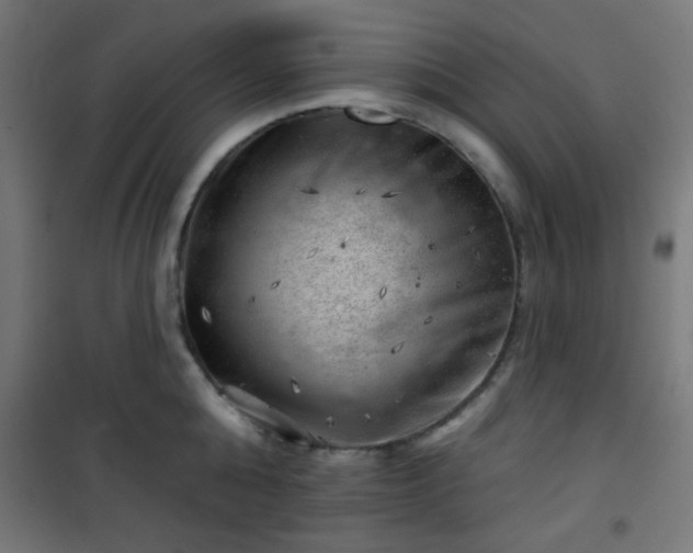 X0000101470808200807141349