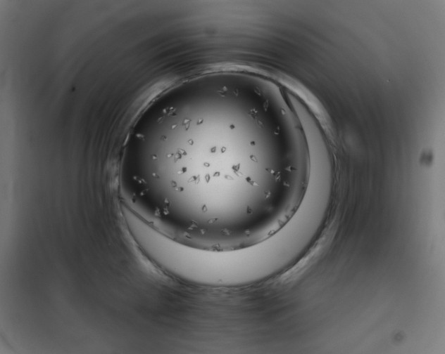 X0000101470809200807141349