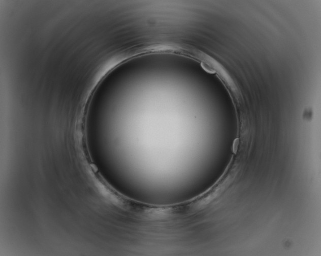 X0000101470810200807141349