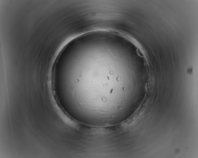 X0000101470811200807141349