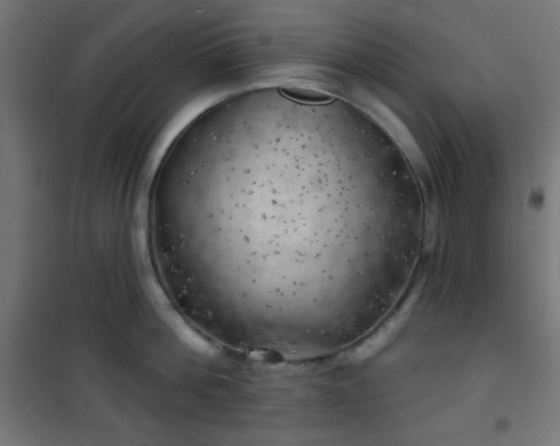 X0000101470812200807141349