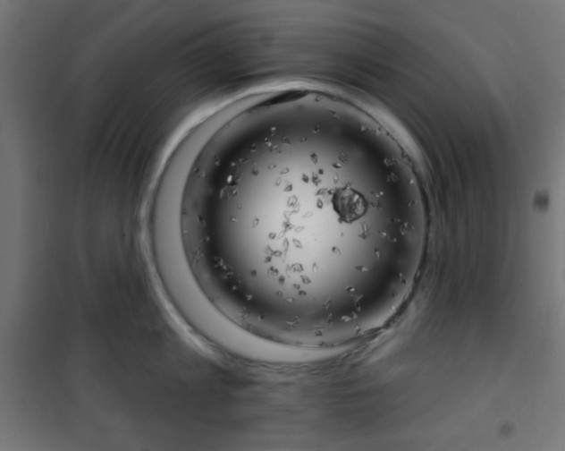 X0000101470813200807141349