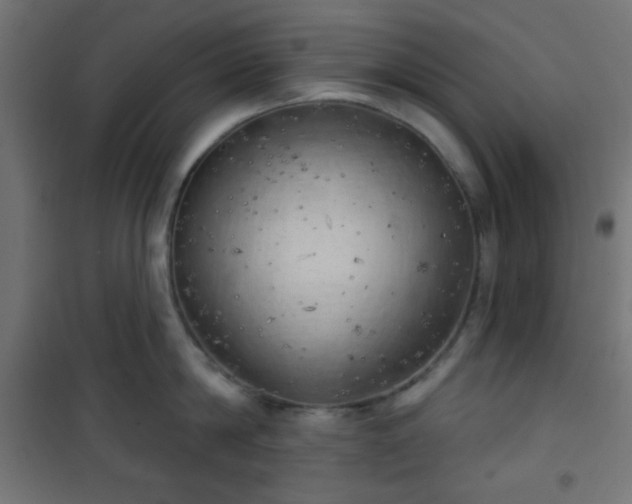 X0000101470814200807141349