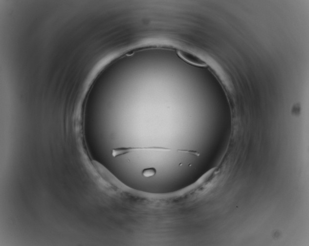 X0000101470815200807141349