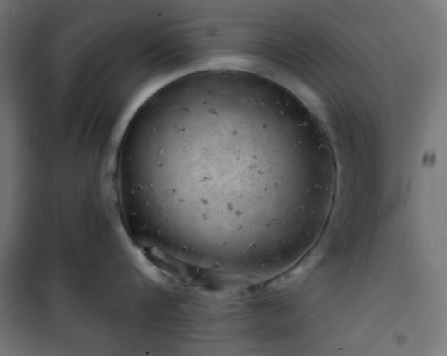X0000101470816200807141349