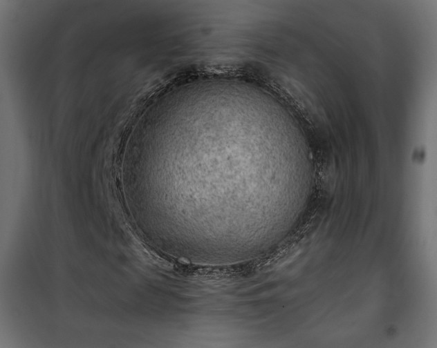 X0000101470817200807141348