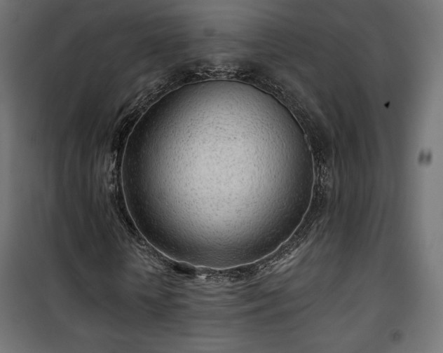 X0000101470818200807141348