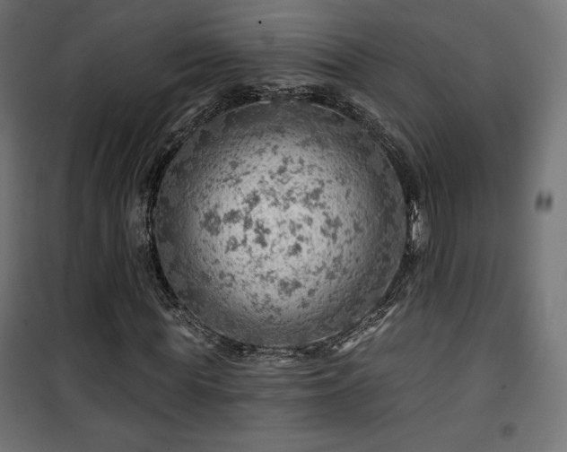 X0000101470819200807141348