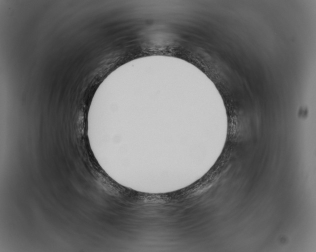 X0000101470820200807141348