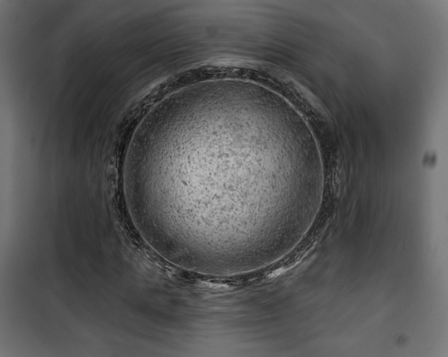 X0000101470821200807141348