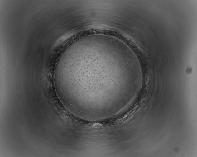 X0000101470822200807141348