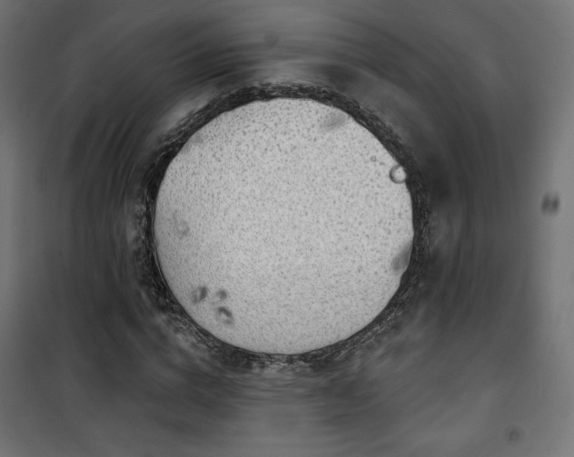 X0000101470824200807141349